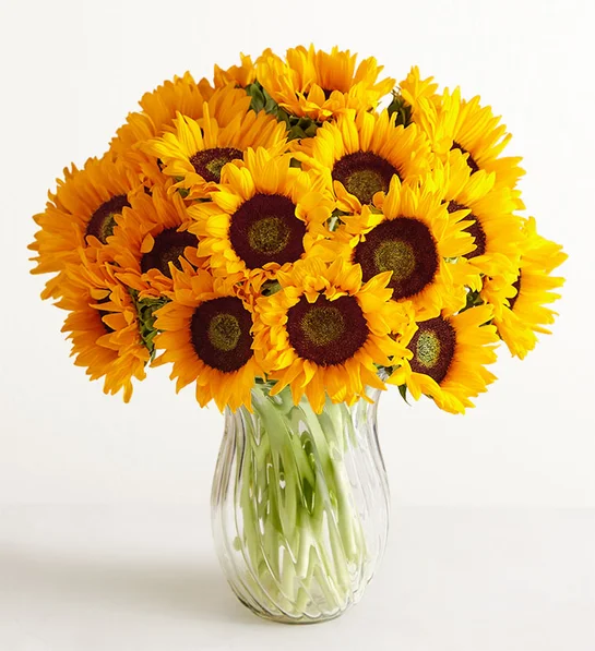 Birthday Flowers for Every Personality