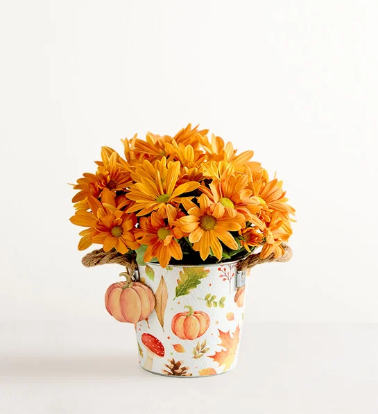 Spiced Pumpkin Petals - S