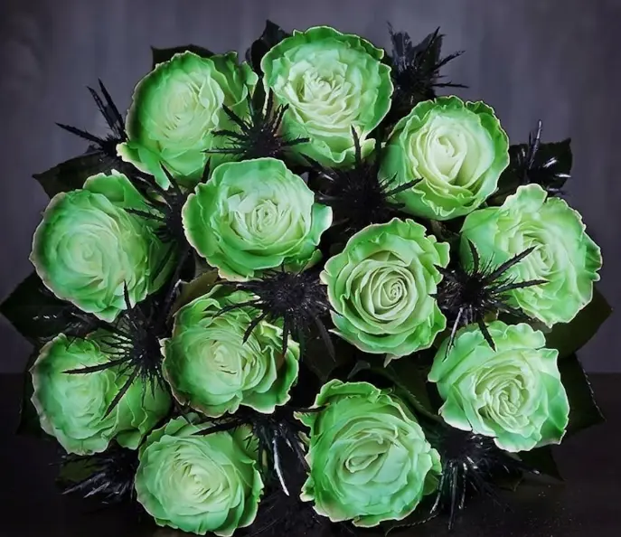 Wicked Midnight Blooms